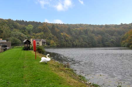 Gatcombe Lake